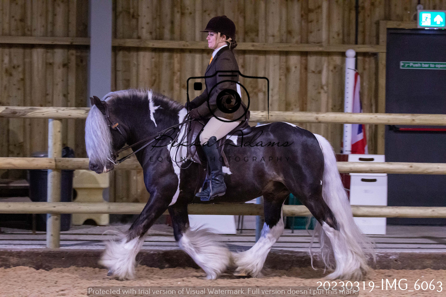 Home Farm Showing 19th March (Ridden) Pt 1