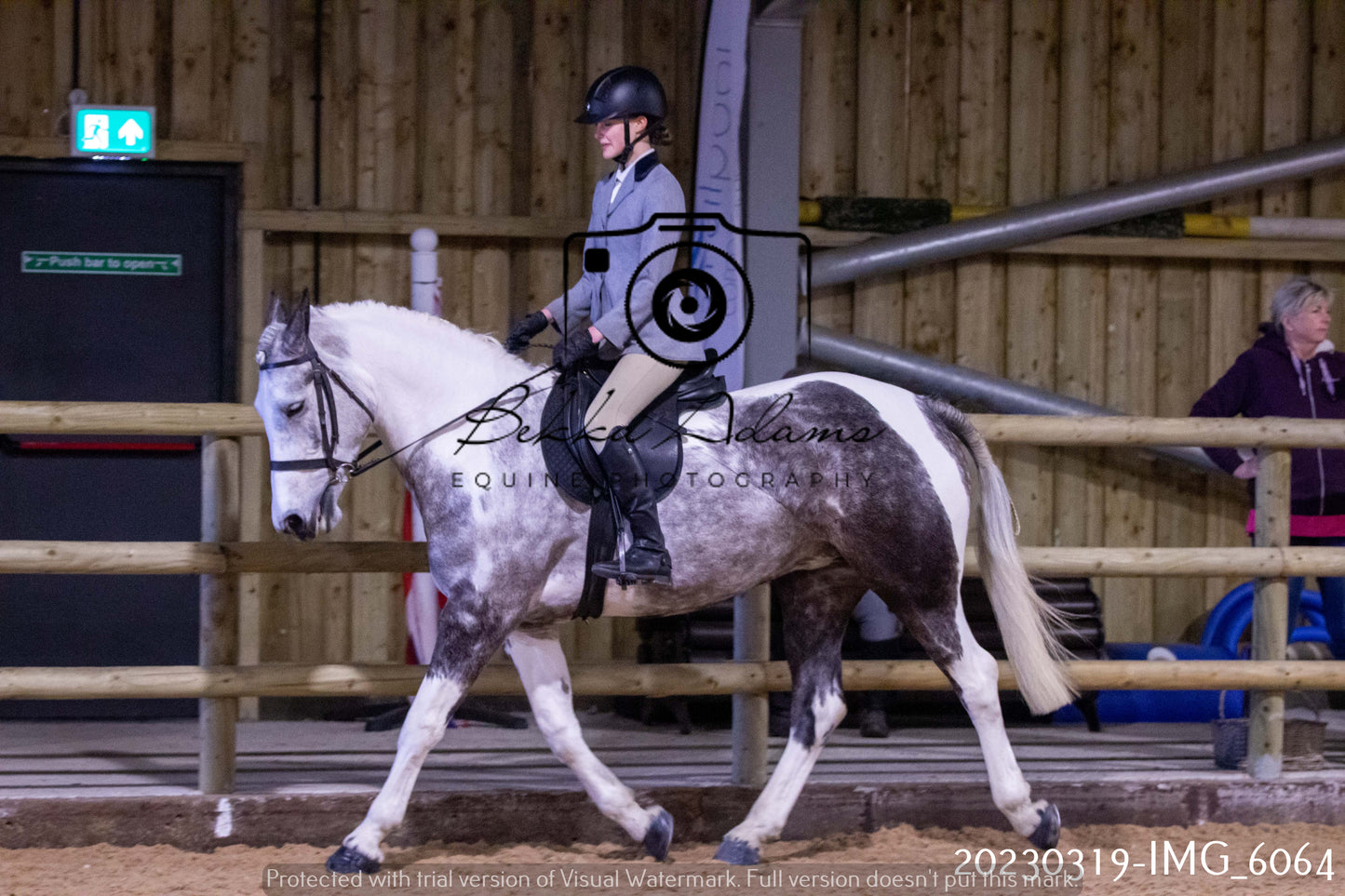 Home Farm Showing 19th March (Ridden) Pt 1