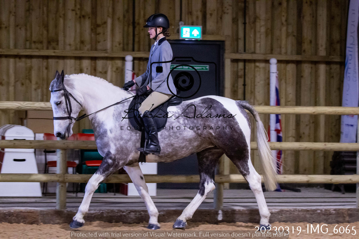 Home Farm Showing 19th March (Ridden) Pt 1