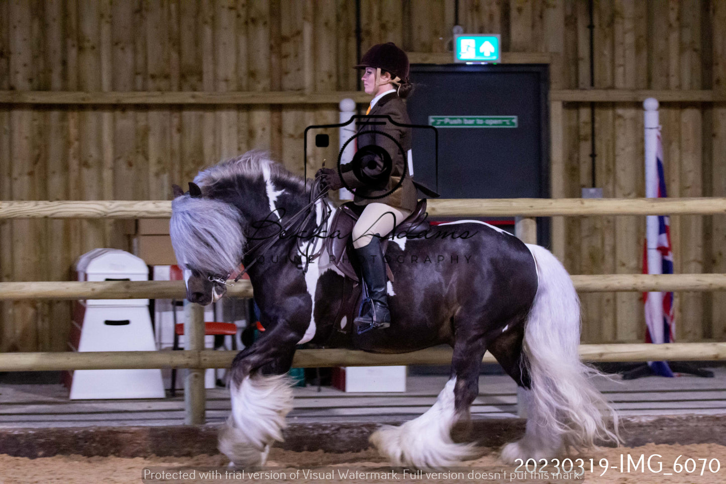 Home Farm Showing 19th March (Ridden) Pt 1