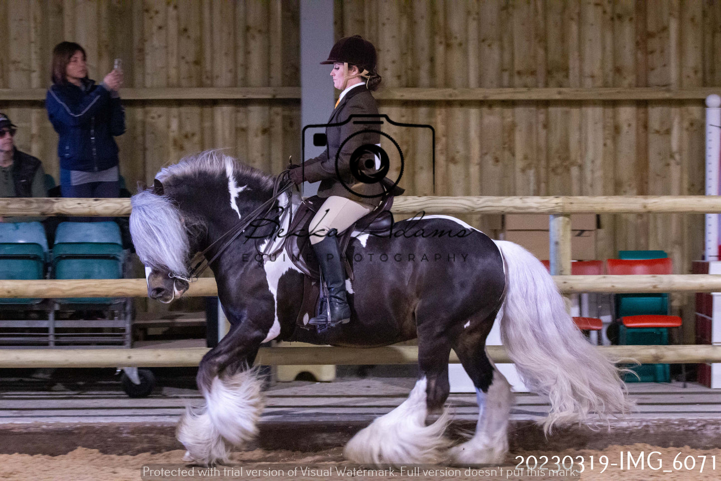 Home Farm Showing 19th March (Ridden) Pt 1
