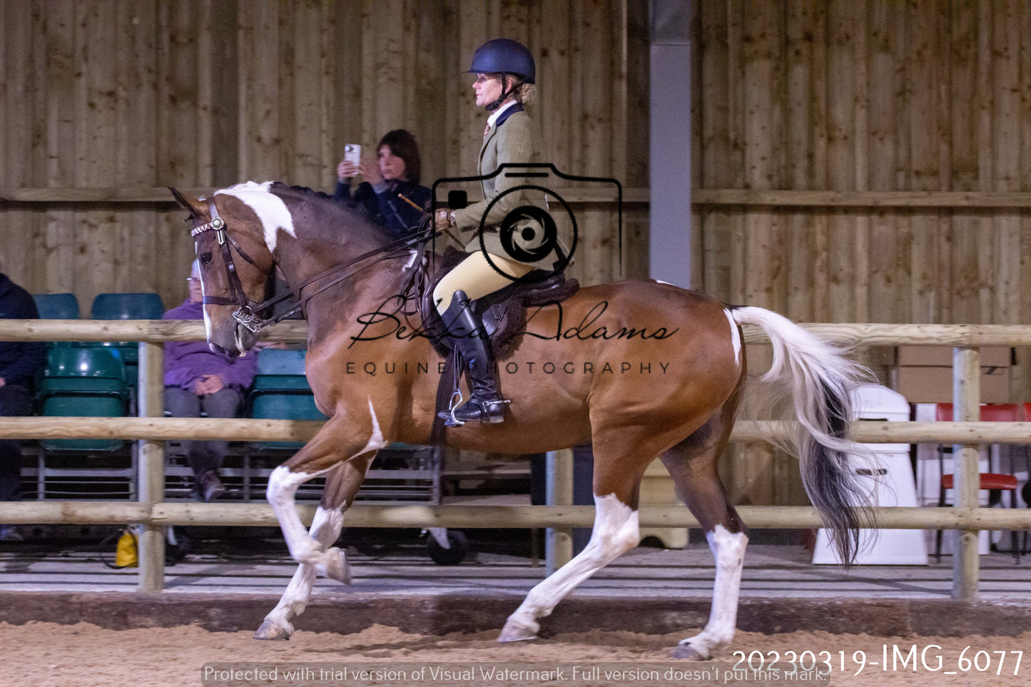 Home Farm Showing 19th March (Ridden) Pt 1