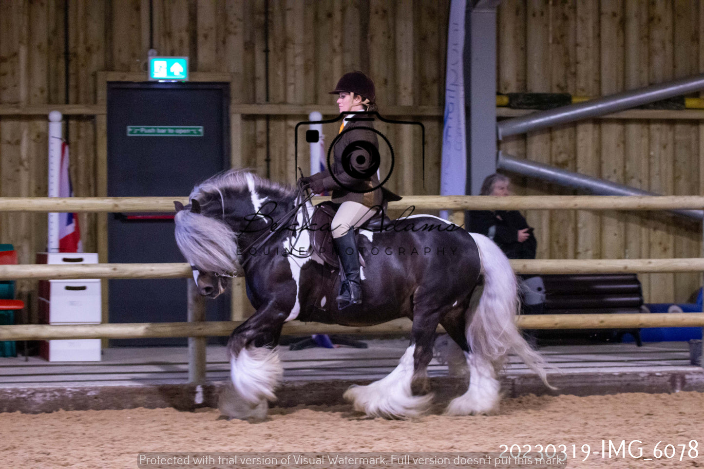 Home Farm Showing 19th March (Ridden) Pt 1
