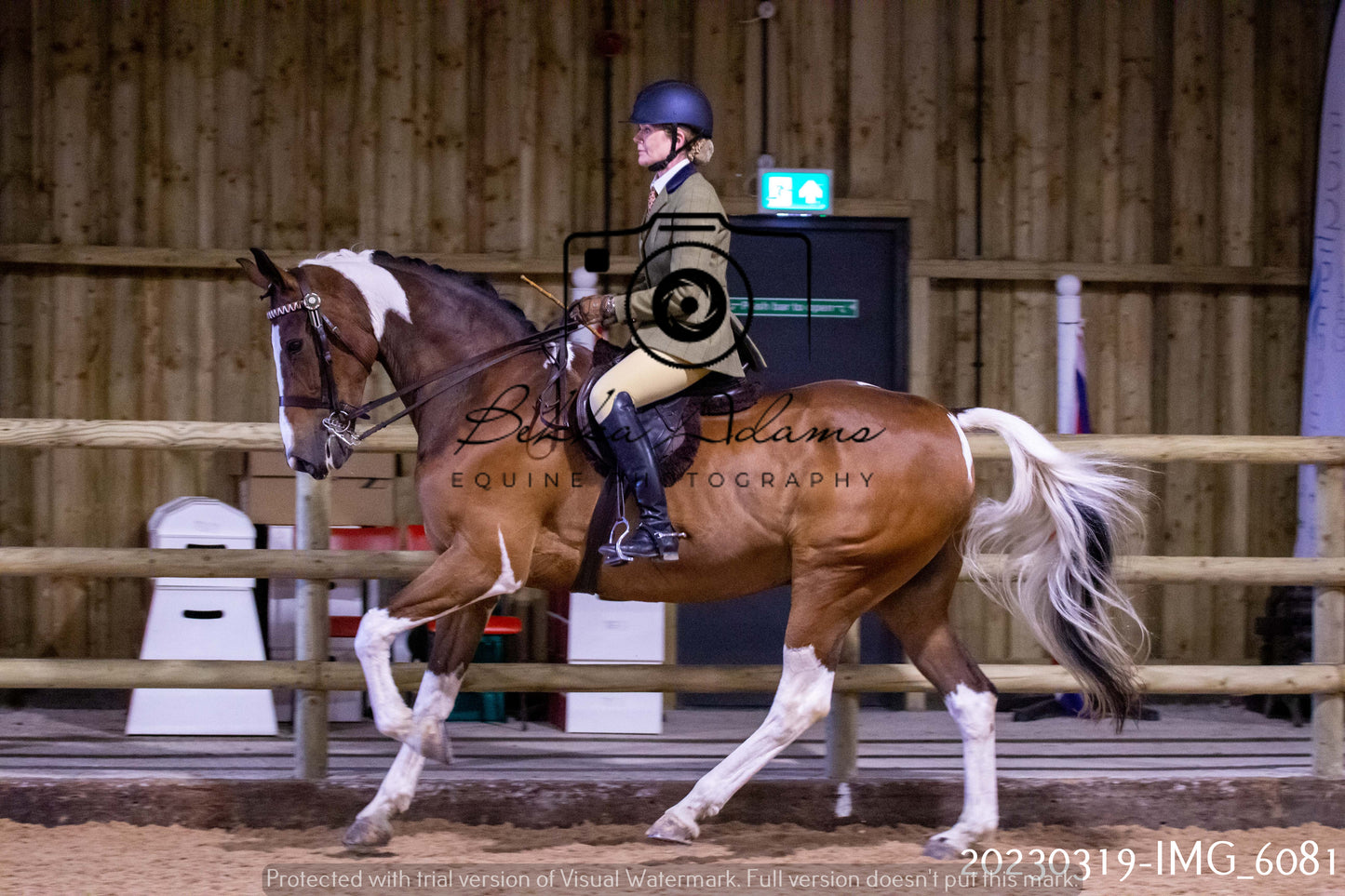 Home Farm Showing 19th March (Ridden) Pt 1