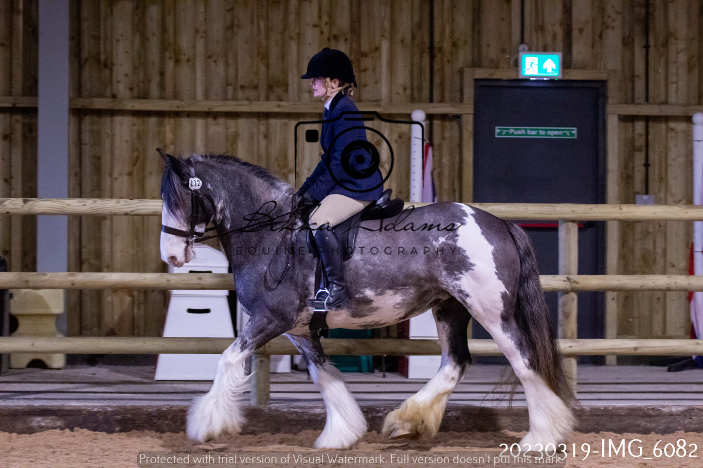 Home Farm Showing 19th March (Ridden) Pt 1