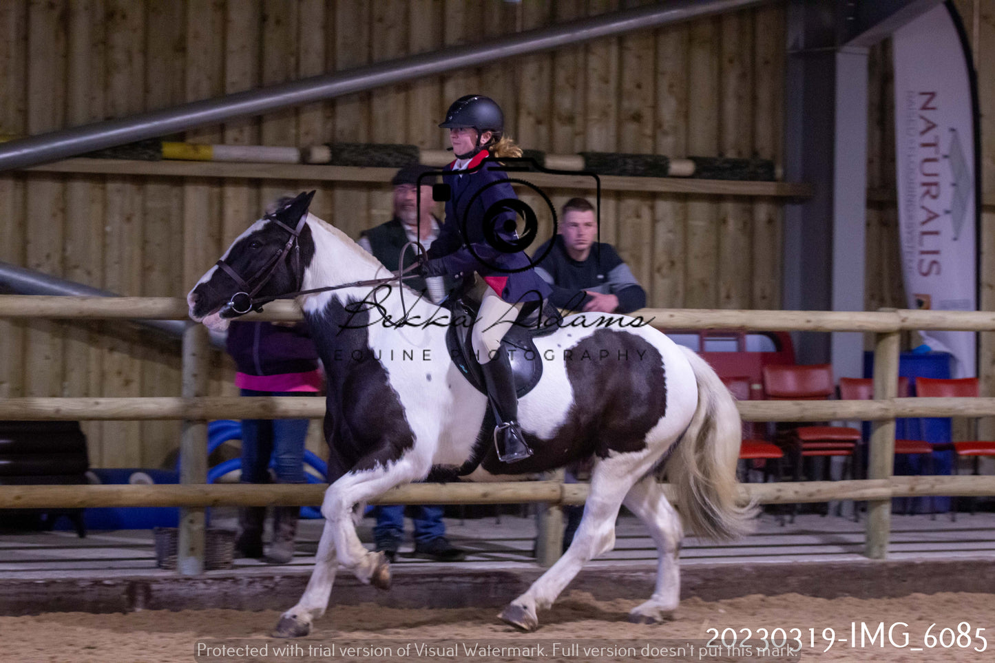 Home Farm Showing 19th March (Ridden) Pt 1