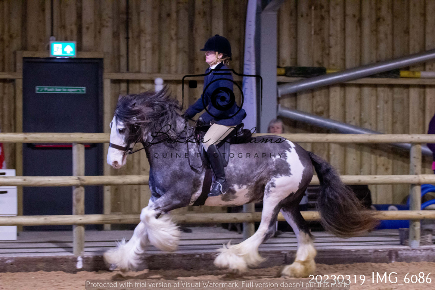 Home Farm Showing 19th March (Ridden) Pt 1