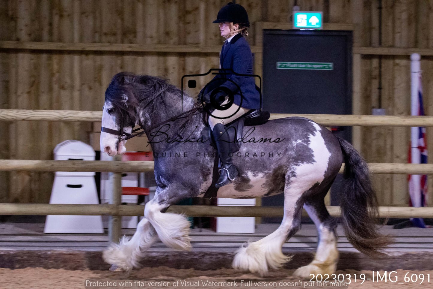 Home Farm Showing 19th March (Ridden) Pt 2