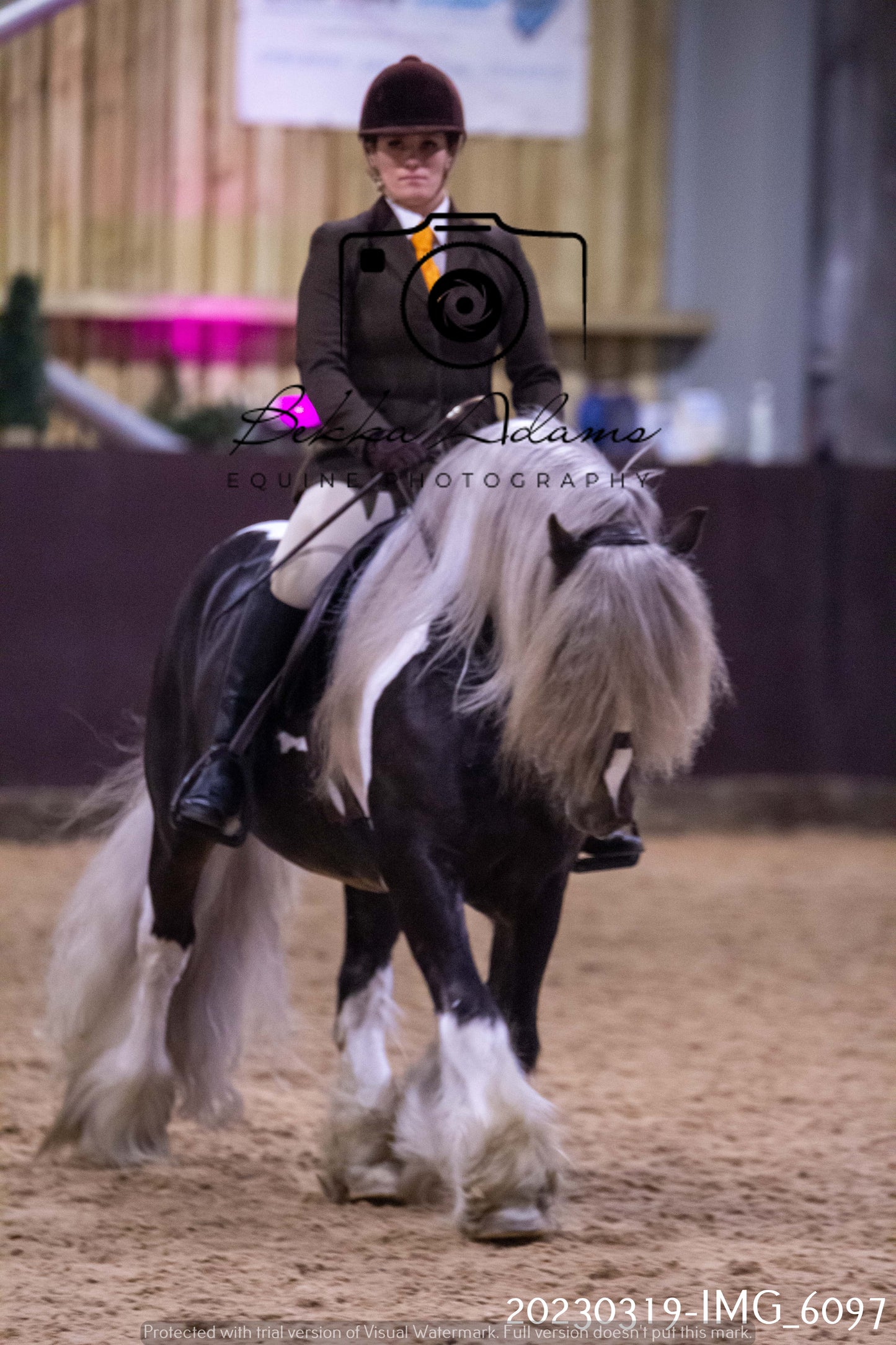 Home Farm Showing 19th March (Ridden) Pt 2