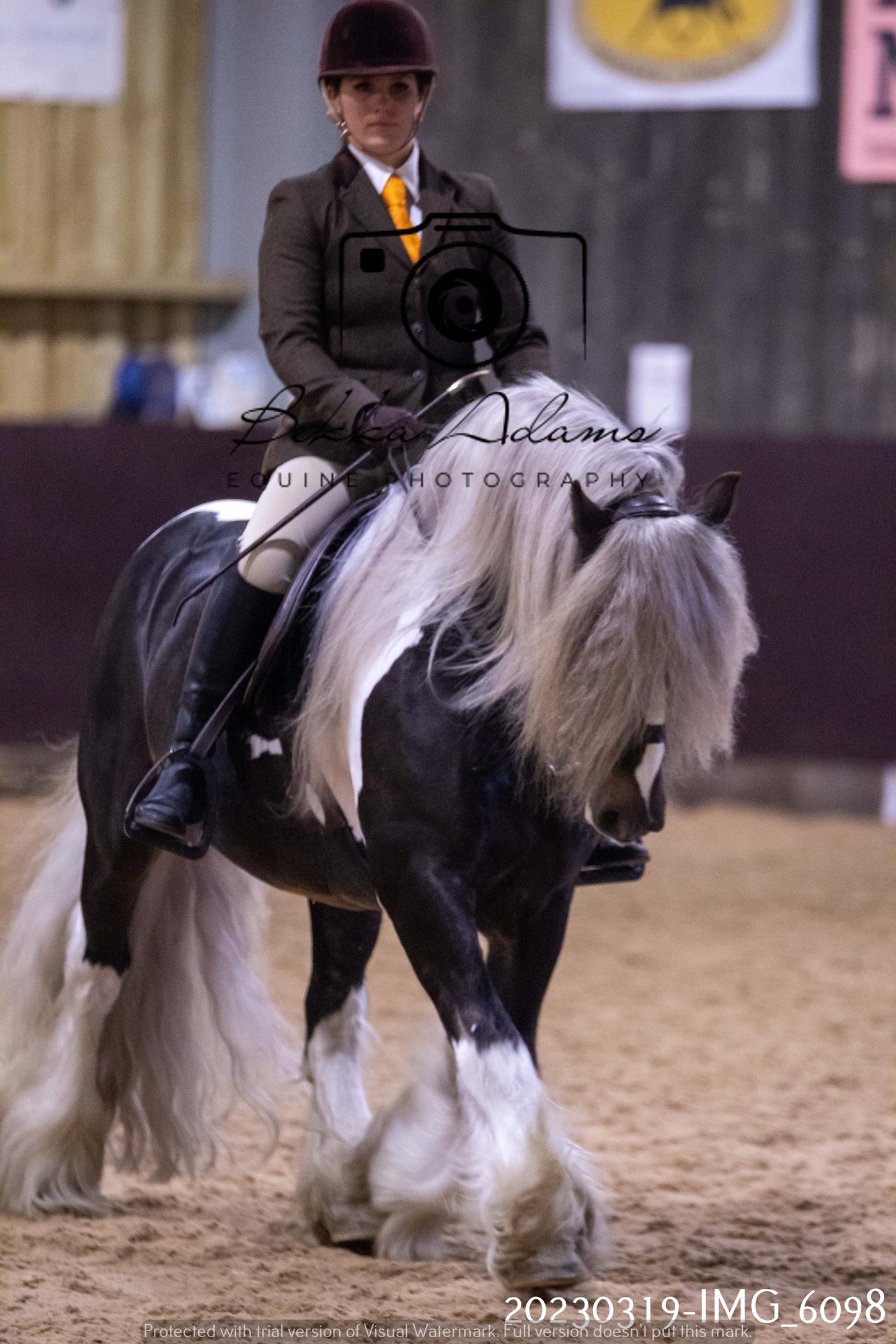 Home Farm Showing 19th March (Ridden) Pt 2