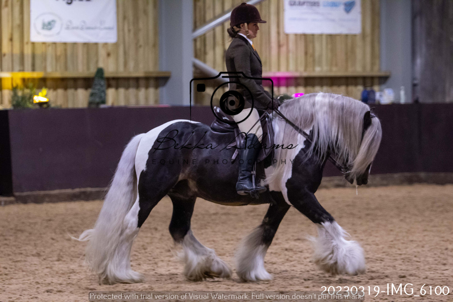 Home Farm Showing 19th March (Ridden) Pt 2