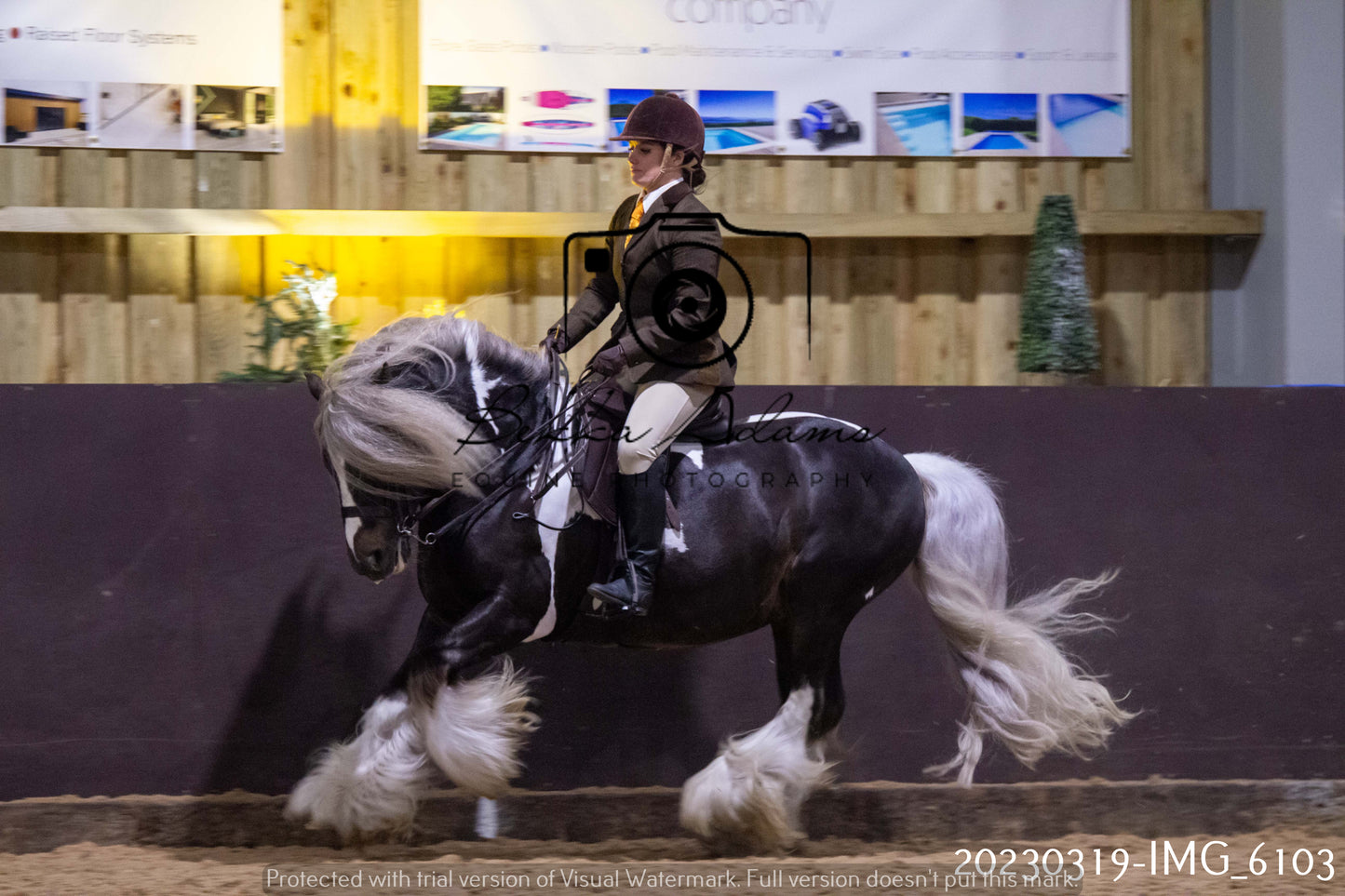 Home Farm Showing 19th March (Ridden) Pt 2