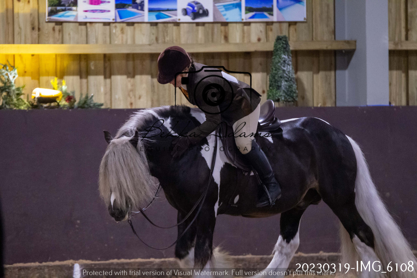 Home Farm Showing 19th March (Ridden) Pt 2