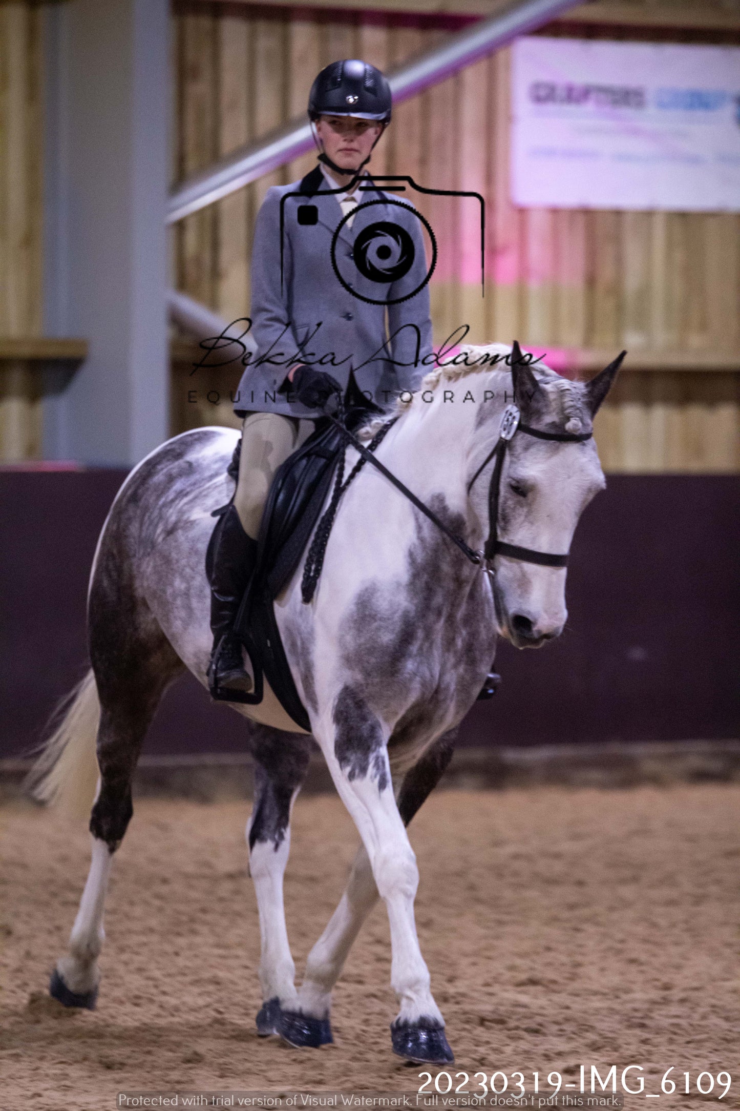 Home Farm Showing 19th March (Ridden) Pt 2