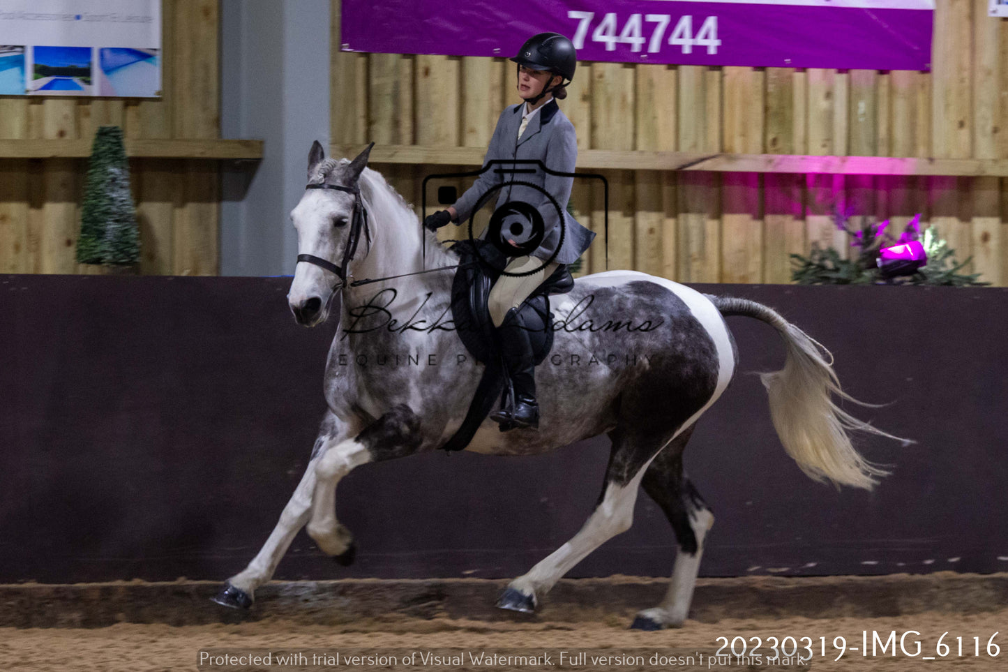 Home Farm Showing 19th March (Ridden) Pt 2