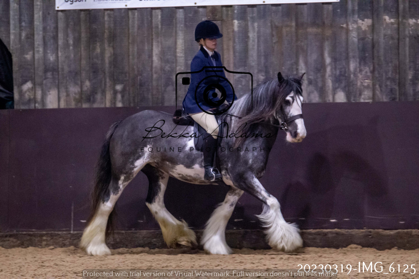 Home Farm Showing 19th March (Ridden) Pt 2