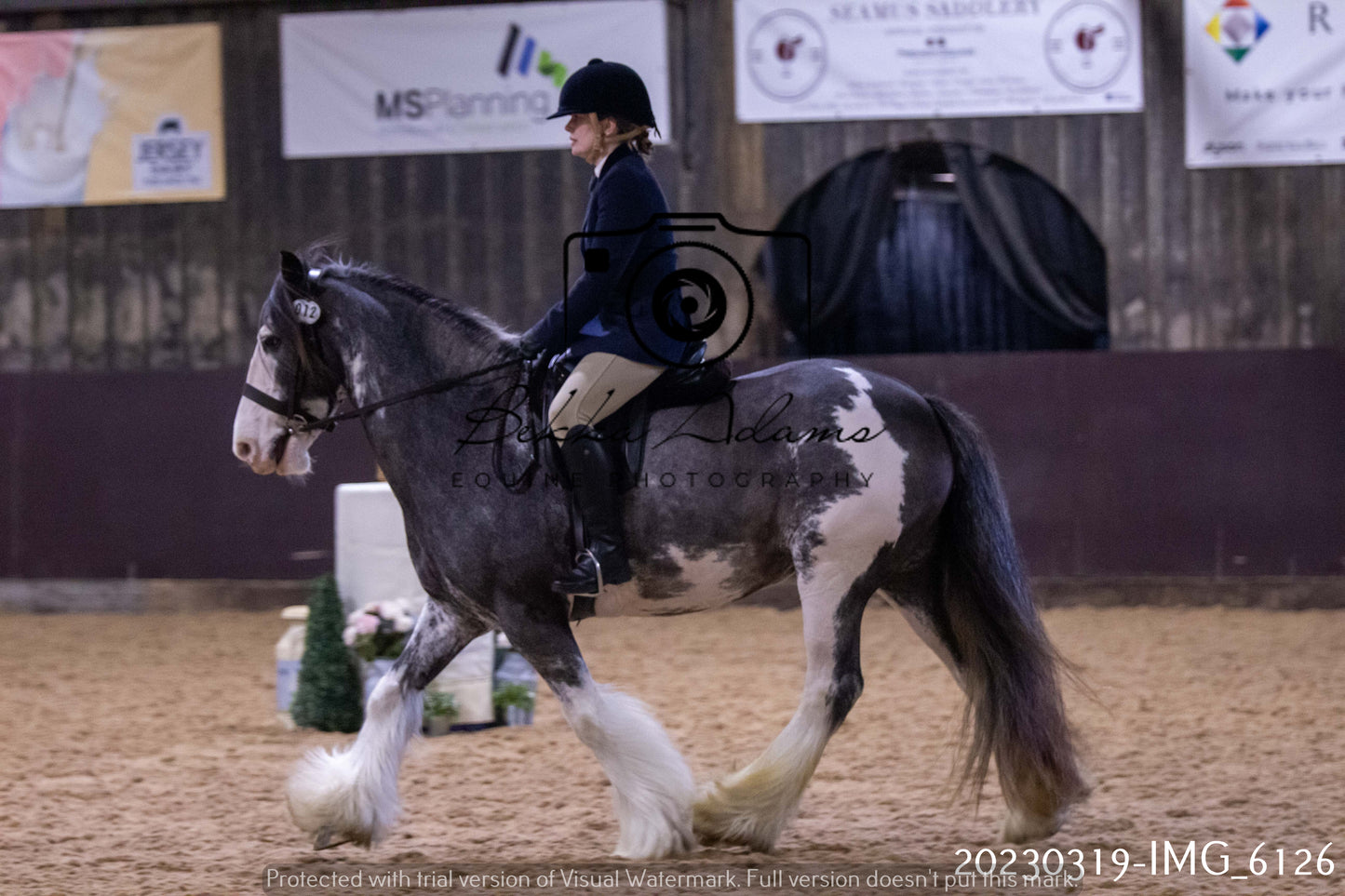 Home Farm Showing 19th March (Ridden) Pt 2
