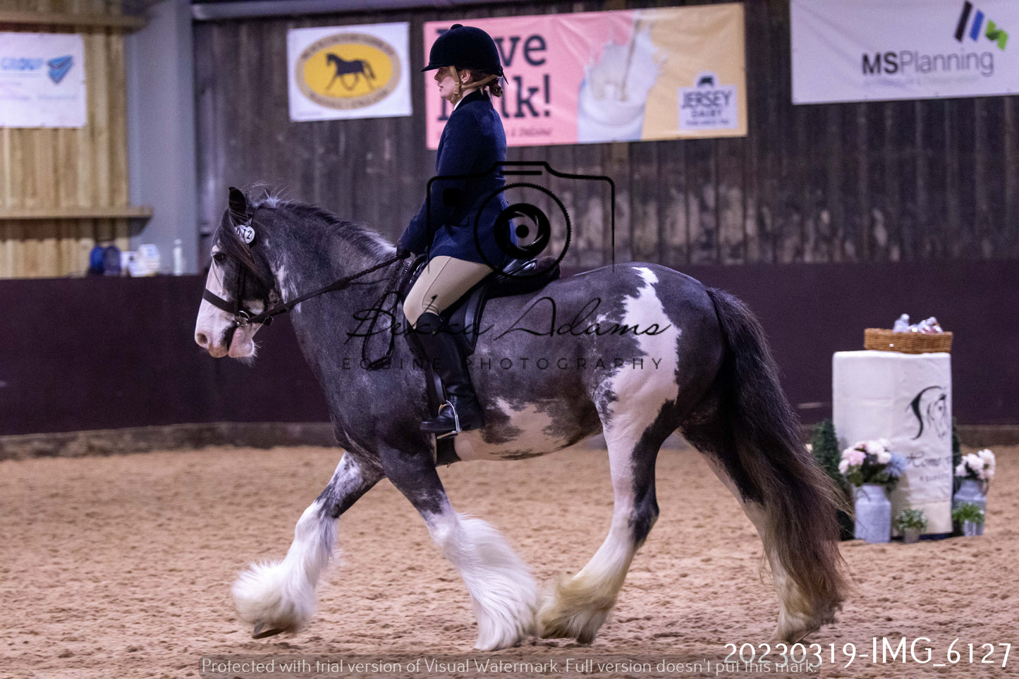 Home Farm Showing 19th March (Ridden) Pt 2