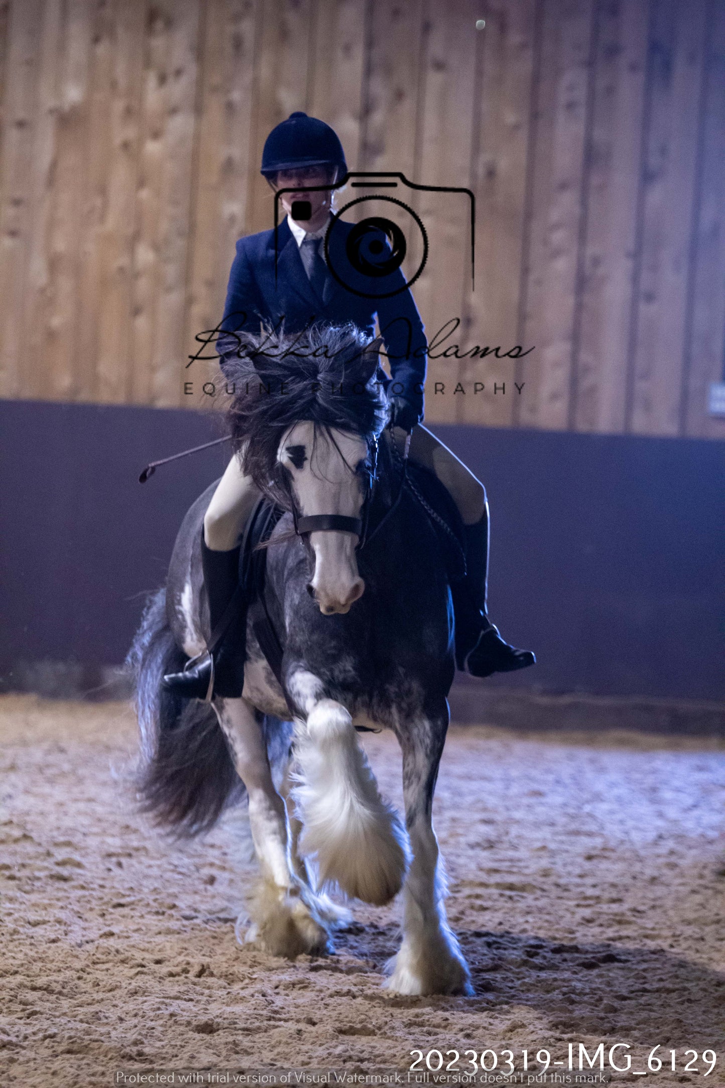 Home Farm Showing 19th March (Ridden) Pt 2