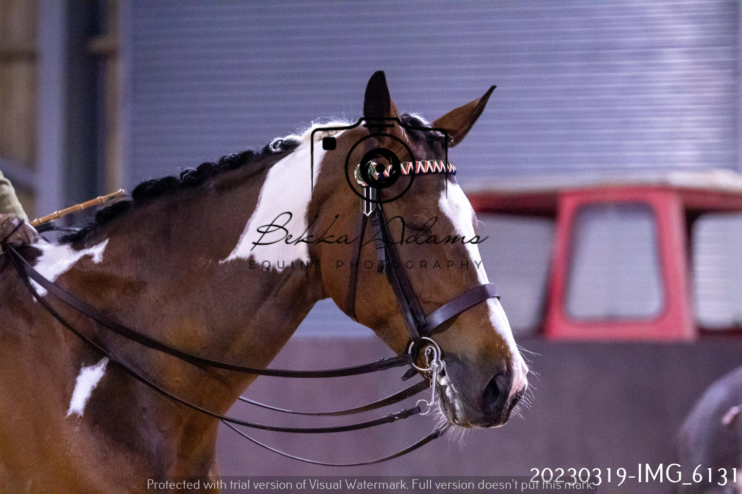 Home Farm Showing 19th March (Ridden) Pt 2