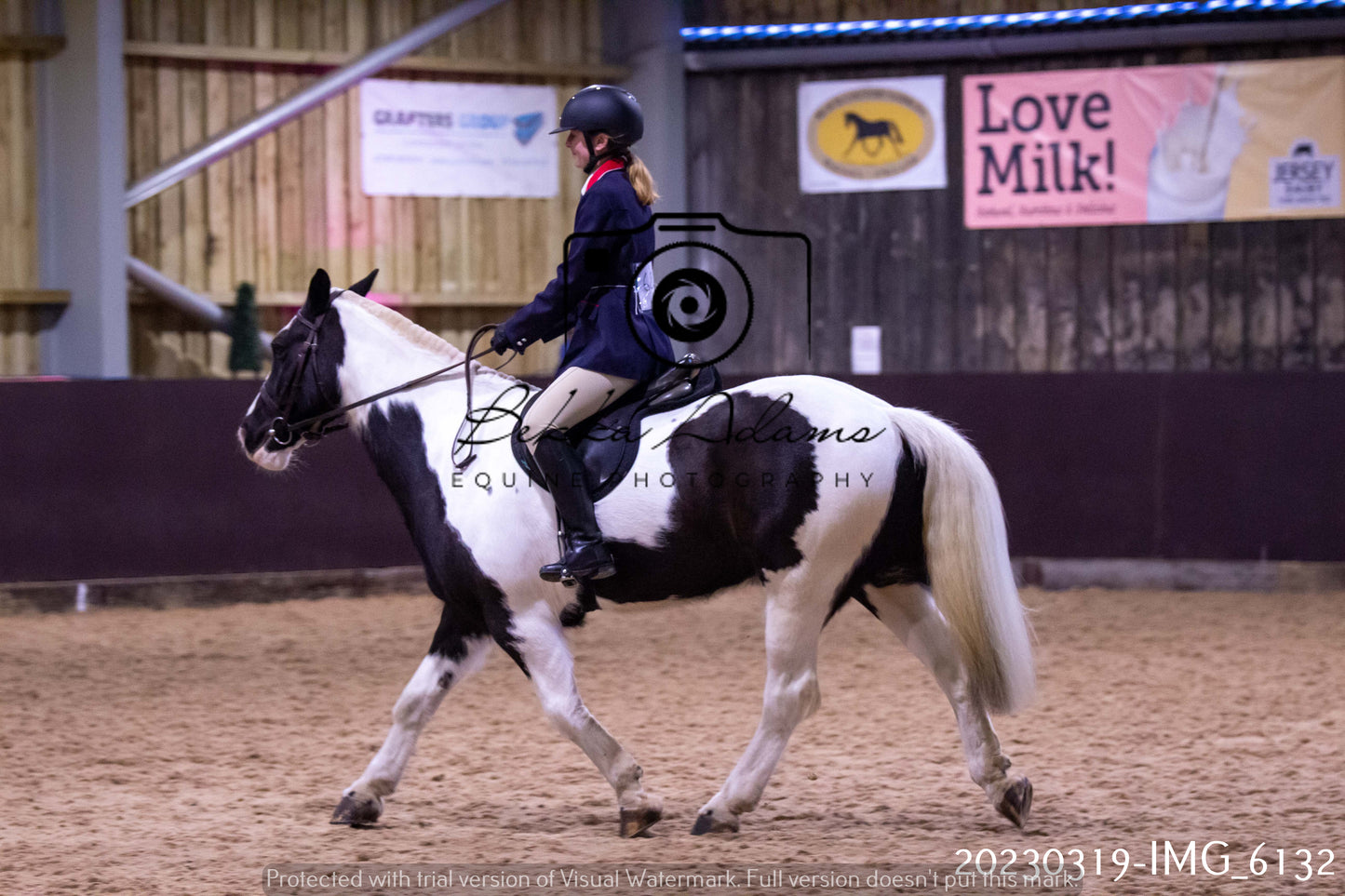 Home Farm Showing 19th March (Ridden) Pt 2