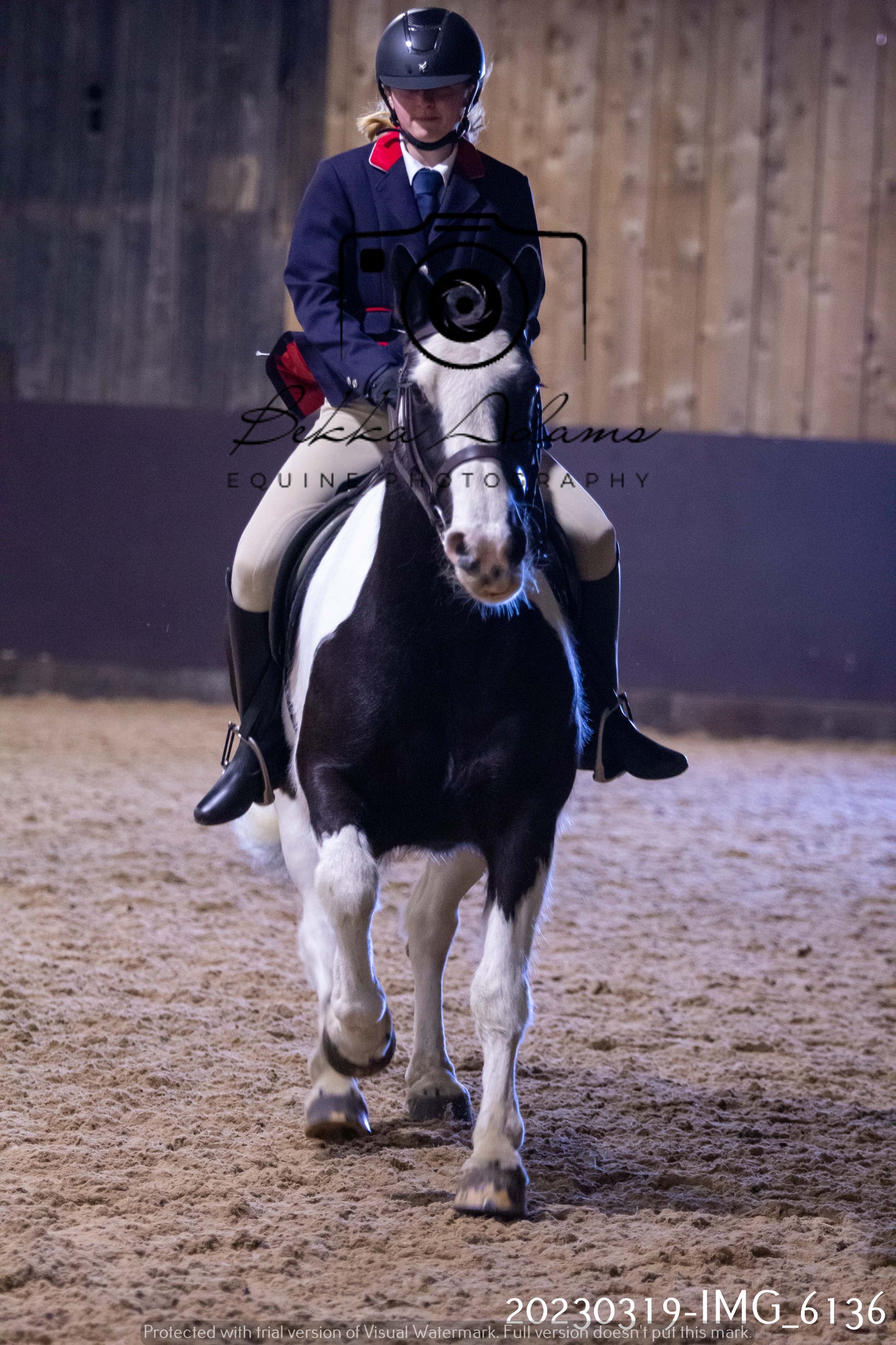 Home Farm Showing 19th March (Ridden) Pt 2