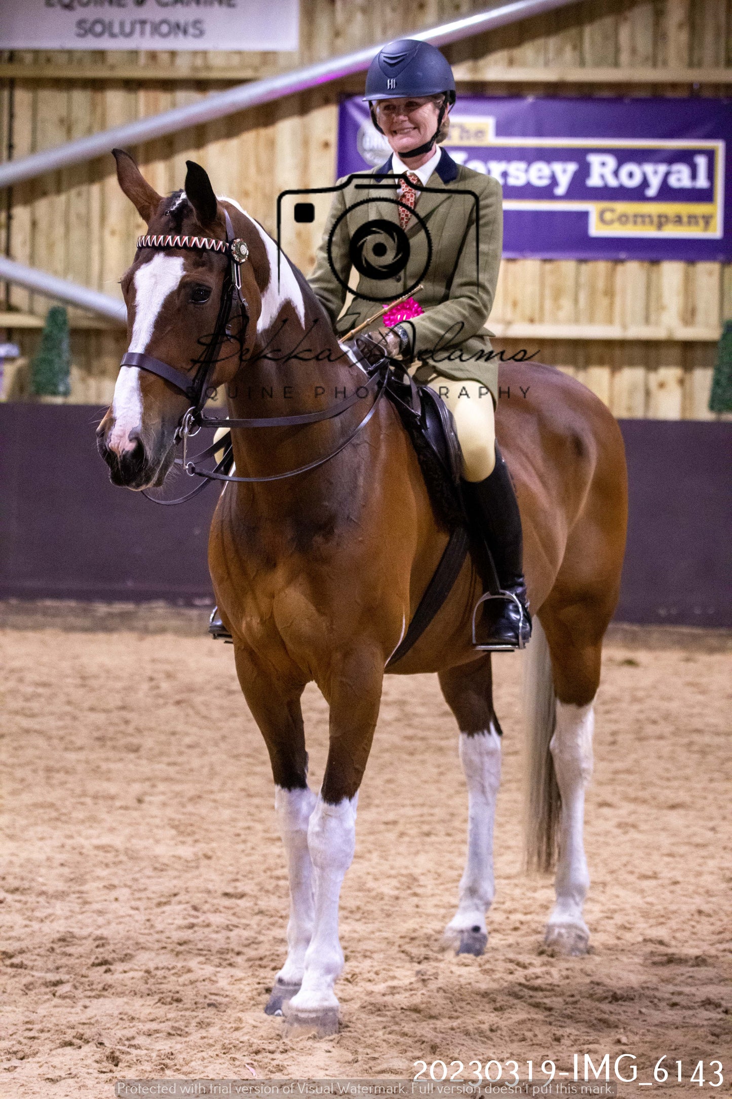 Home Farm Showing 19th March (Ridden) Pt 2