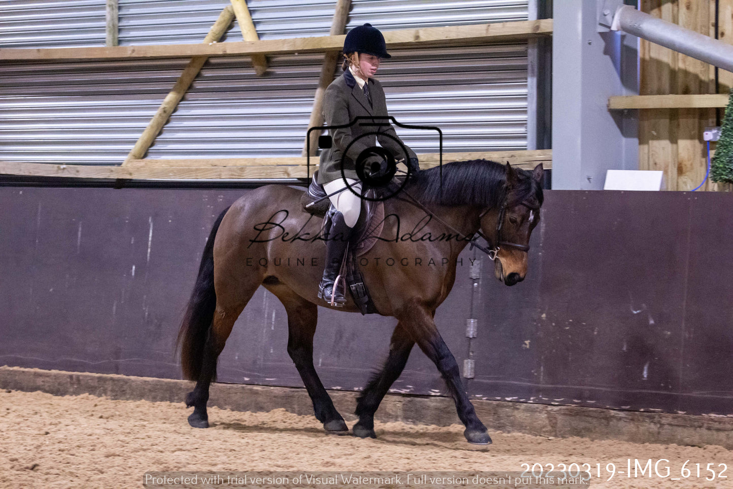 Home Farm Showing 19th March (Ridden) Pt 2