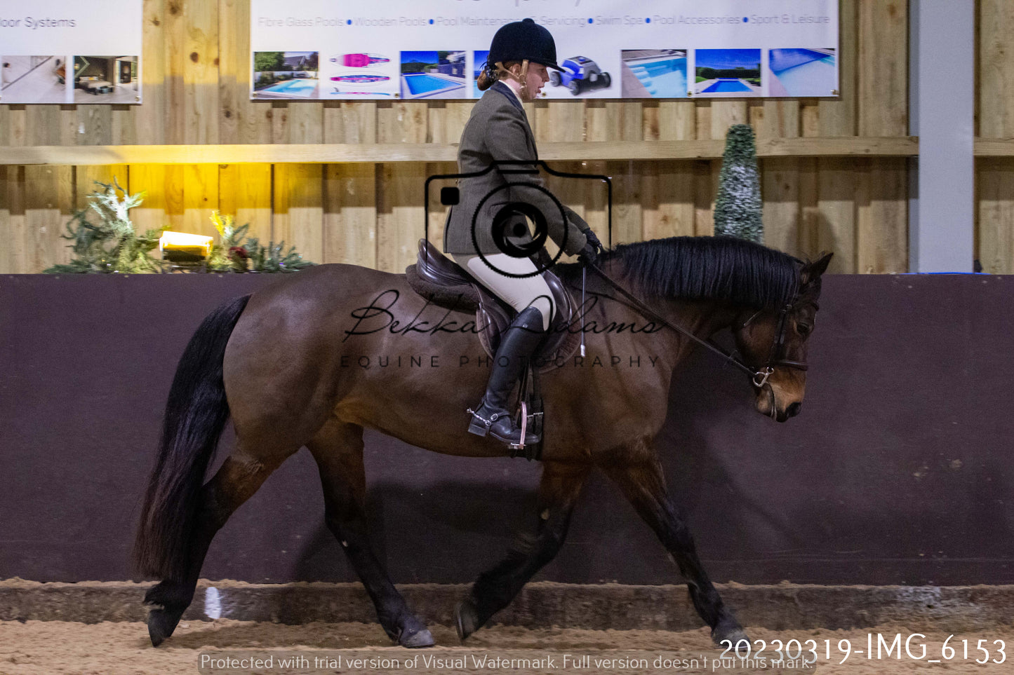 Home Farm Showing 19th March (Ridden) Pt 2