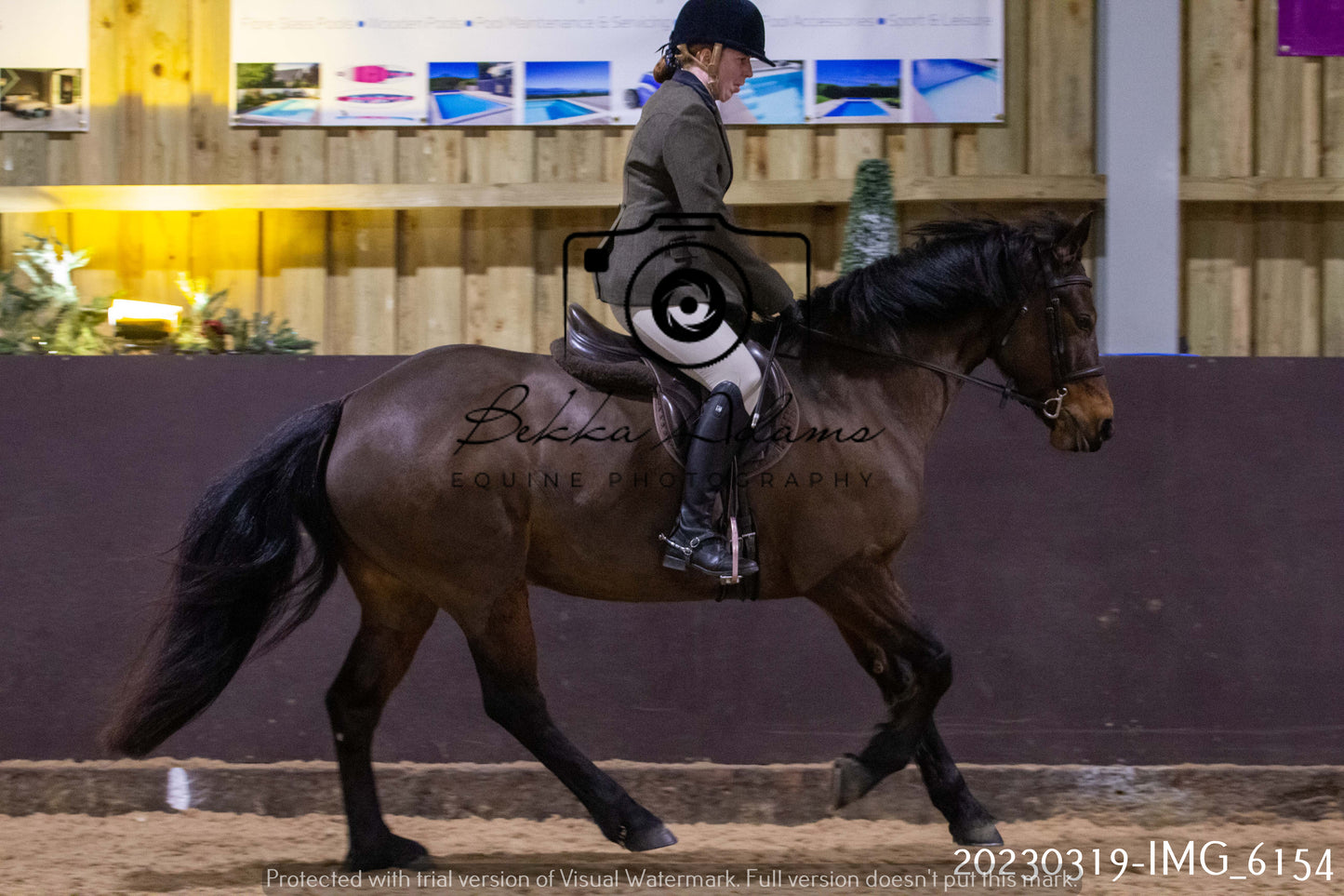 Home Farm Showing 19th March (Ridden) Pt 2