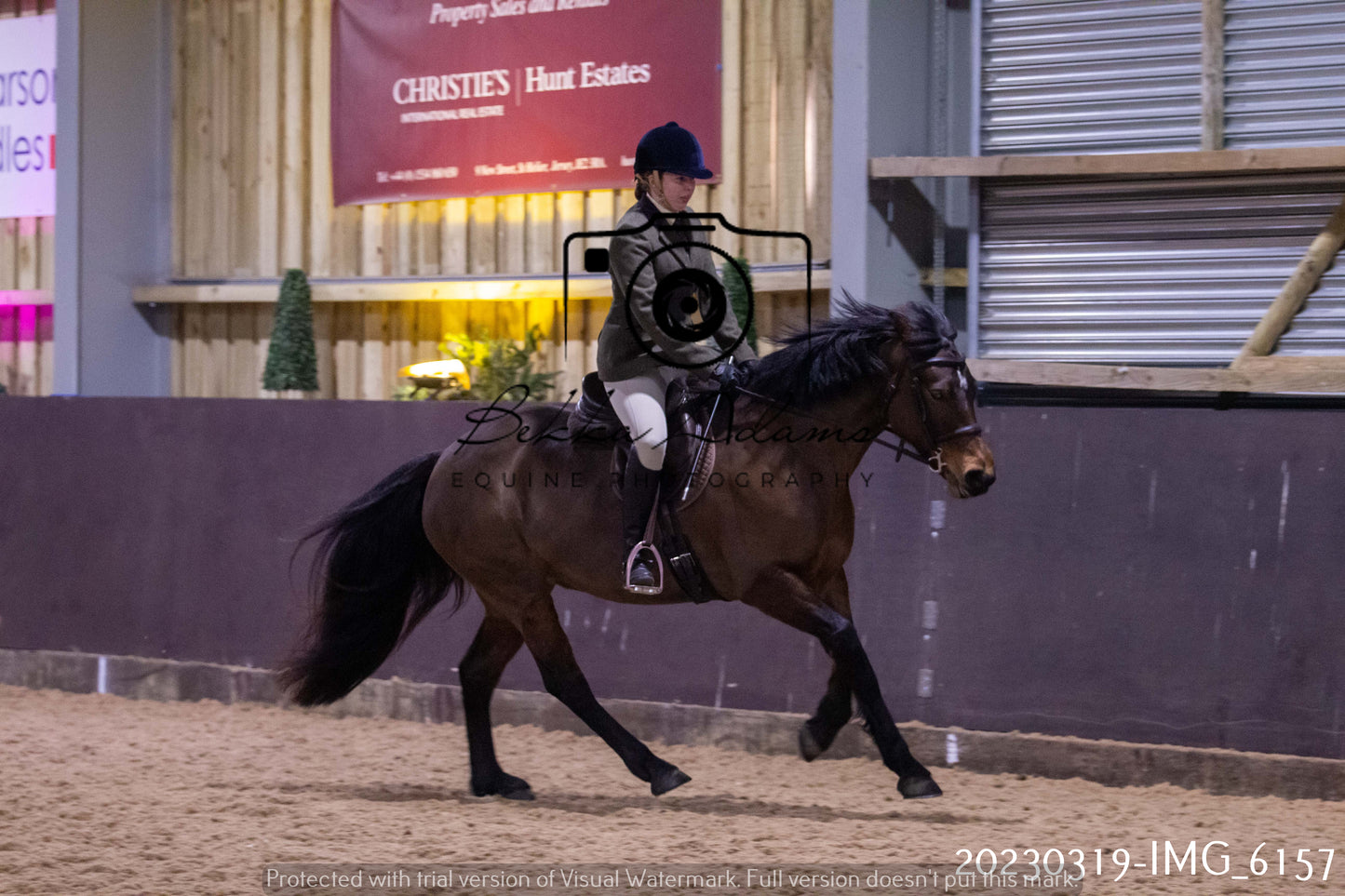 Home Farm Showing 19th March (Ridden) Pt 2