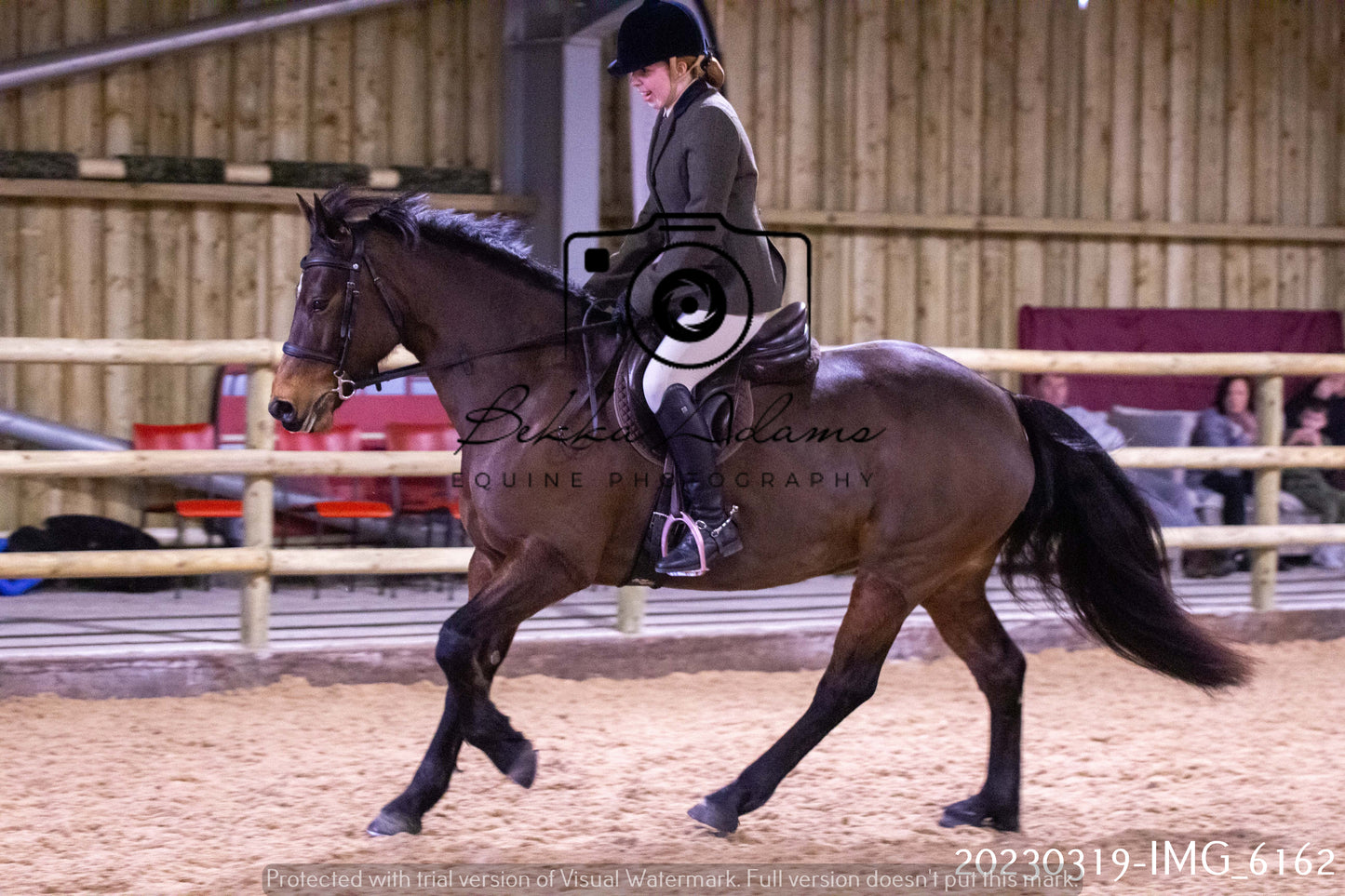 Home Farm Showing 19th March (Ridden) Pt 2