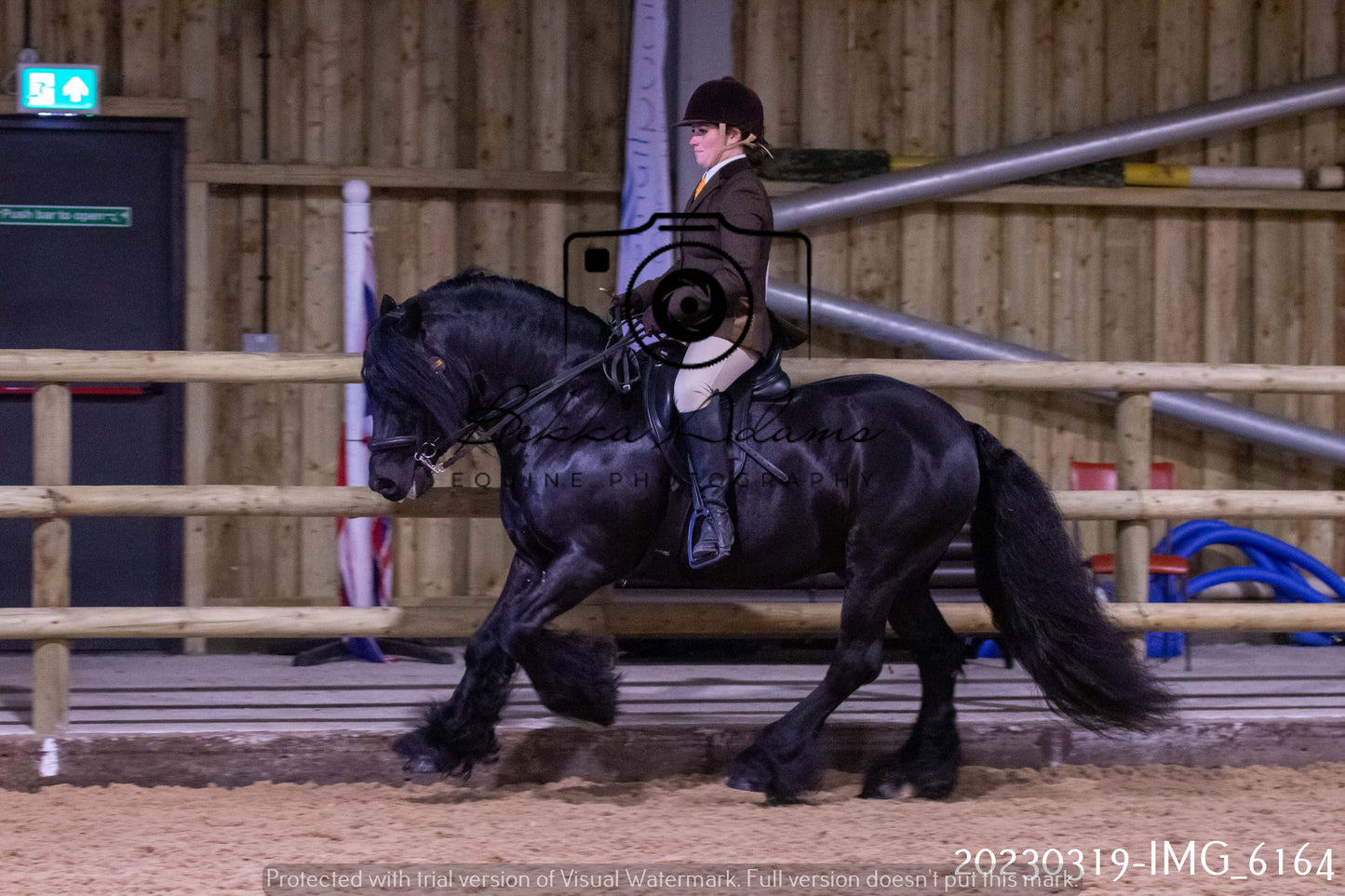 Home Farm Showing 19th March (Ridden) Pt 2