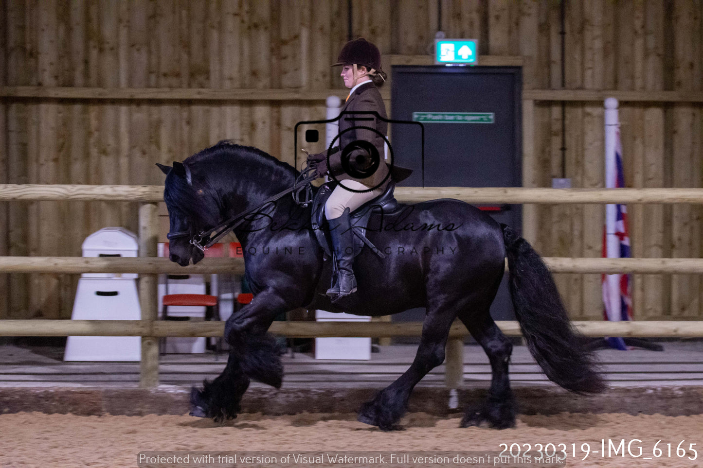 Home Farm Showing 19th March (Ridden) Pt 2