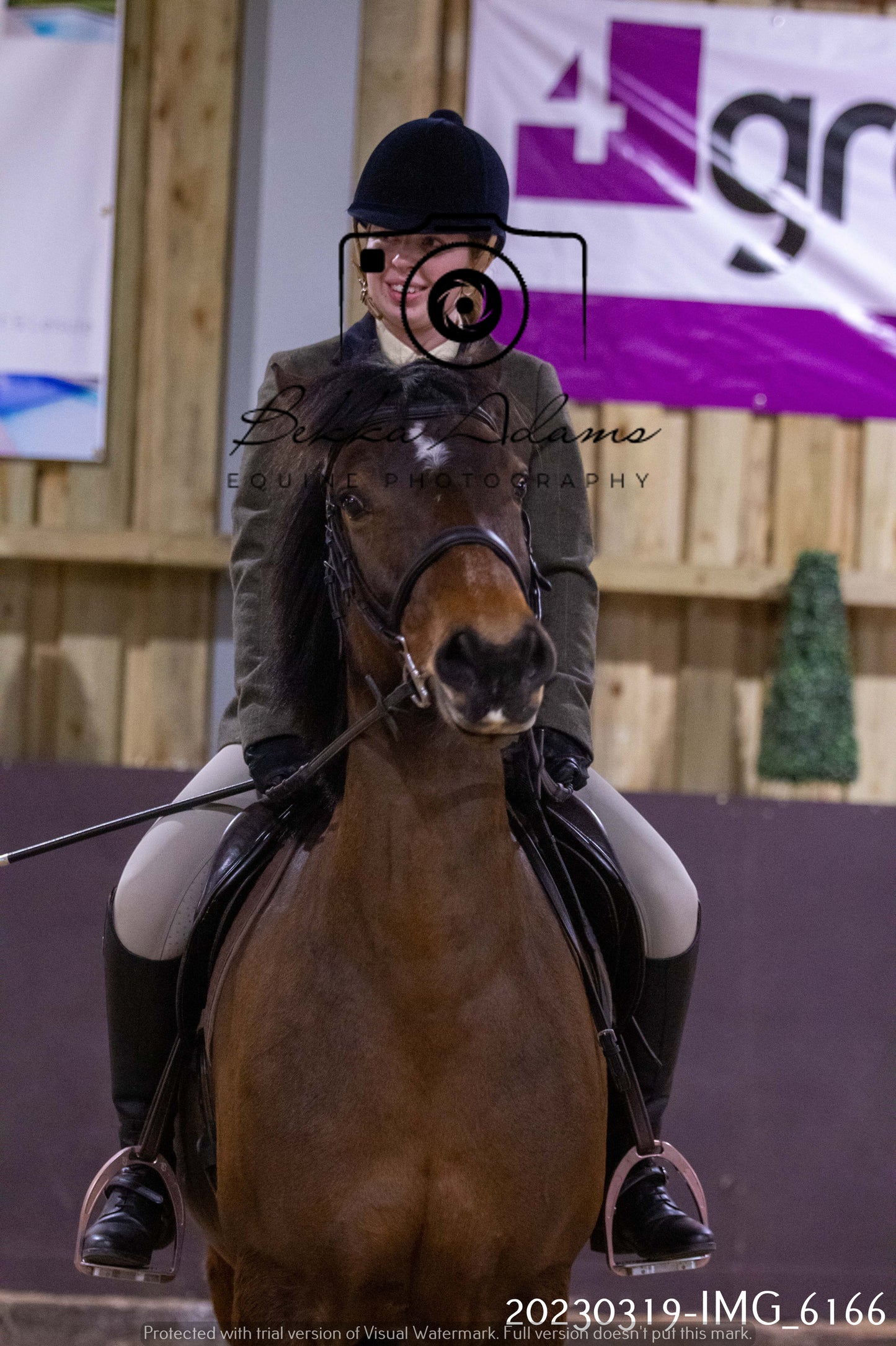 Home Farm Showing 19th March (Ridden) Pt 2