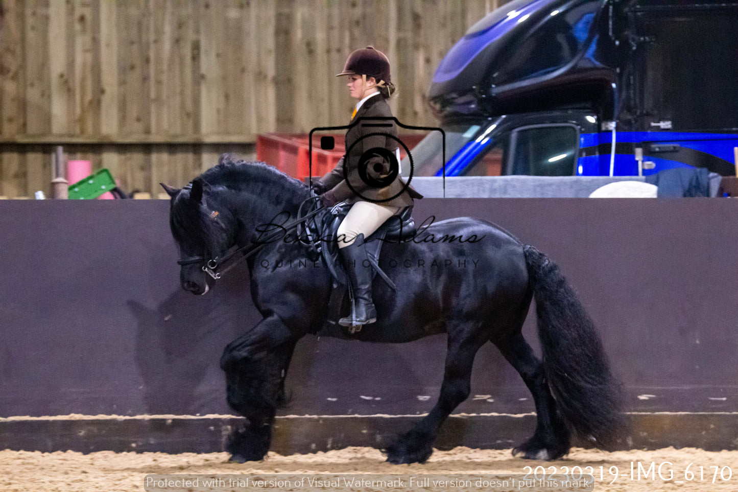 Home Farm Showing 19th March (Ridden) Pt 2