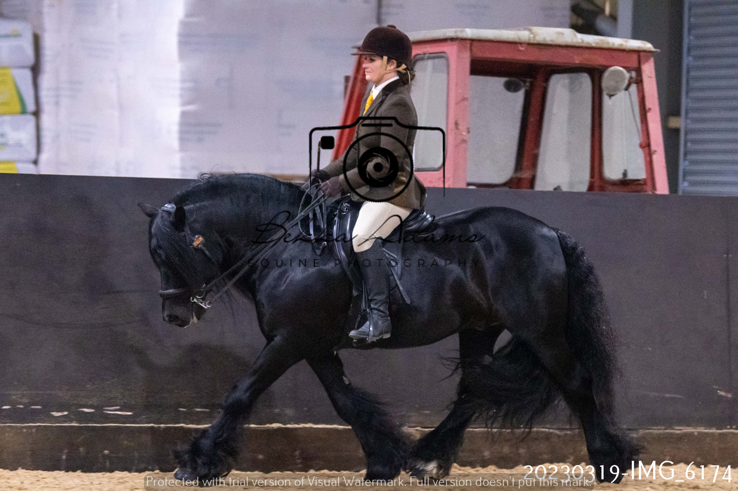 Home Farm Showing 19th March (Ridden) Pt 2