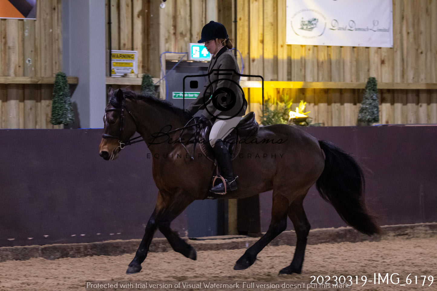 Home Farm Showing 19th March (Ridden) Pt 2