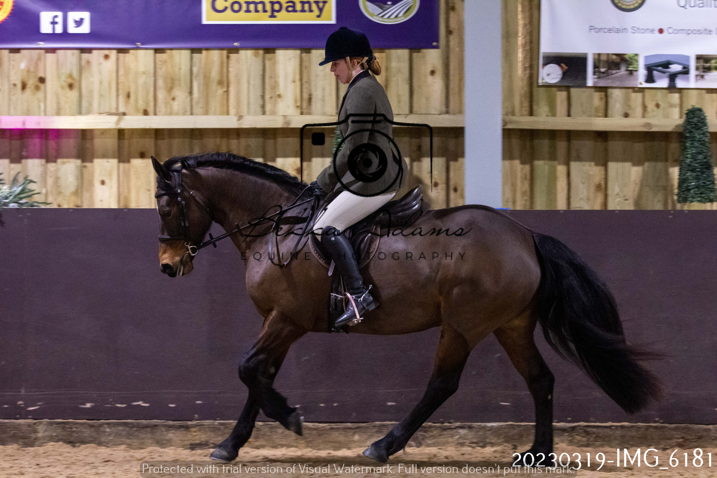 Home Farm Showing 19th March (Ridden) Pt 2
