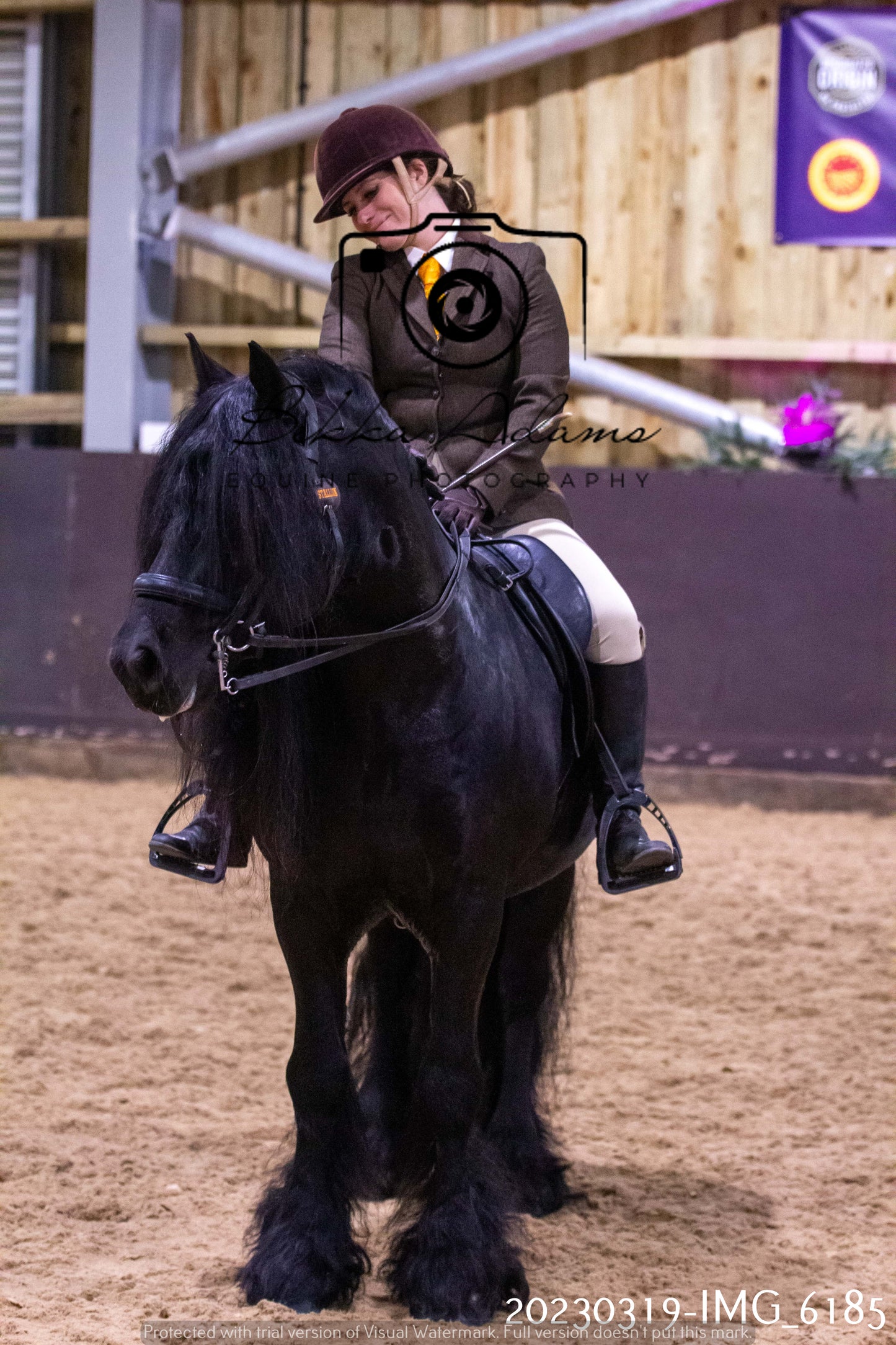 Home Farm Showing 19th March (Ridden) Pt 2