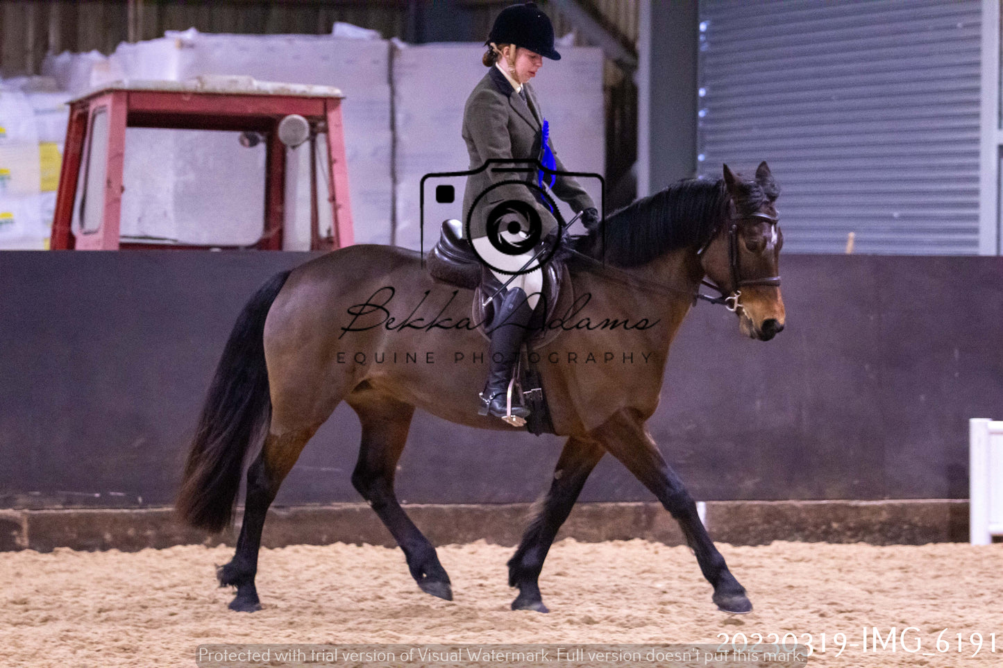Home Farm Showing 19th March (Ridden) Pt 2