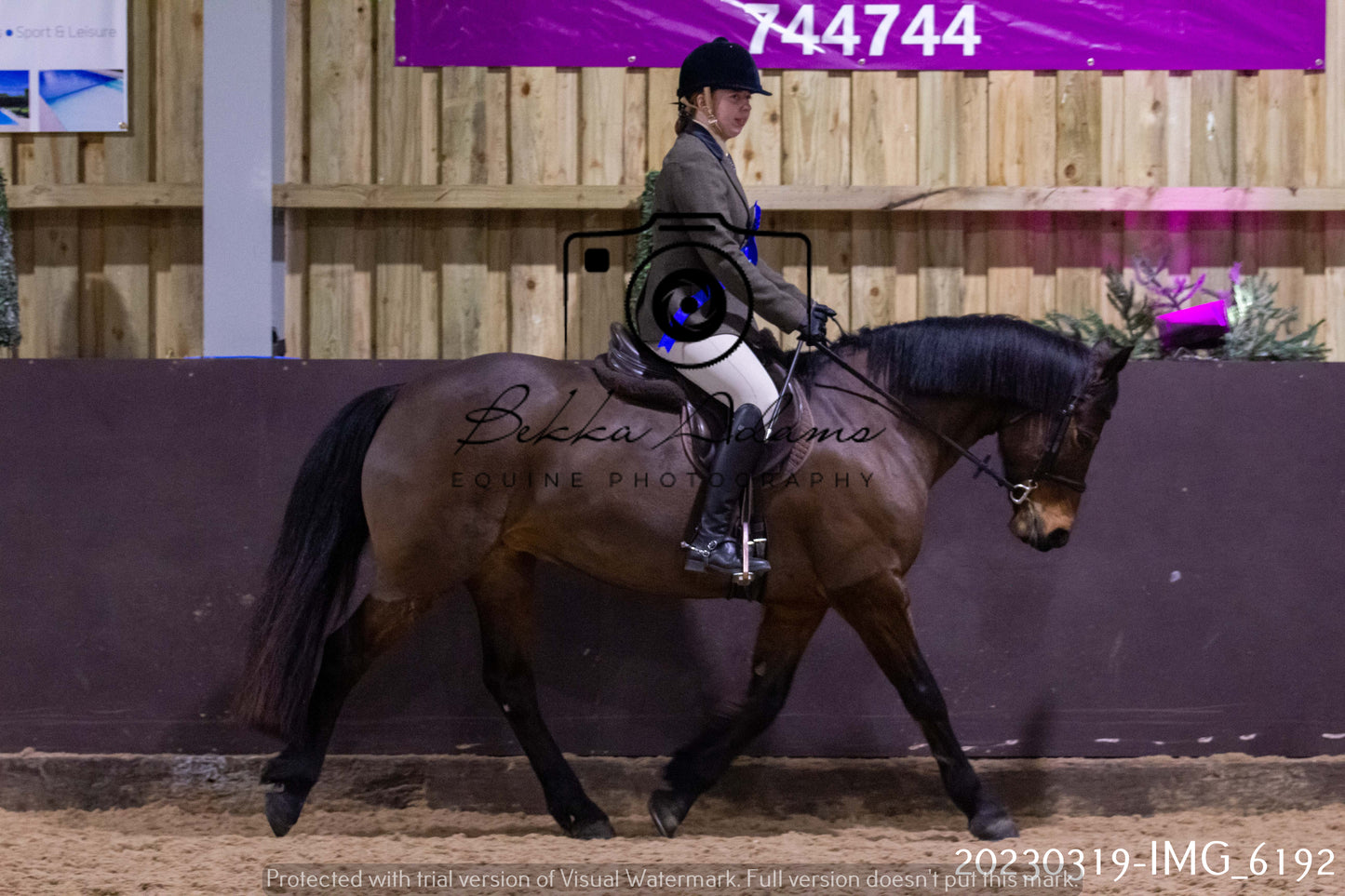 Home Farm Showing 19th March (Ridden) Pt 2