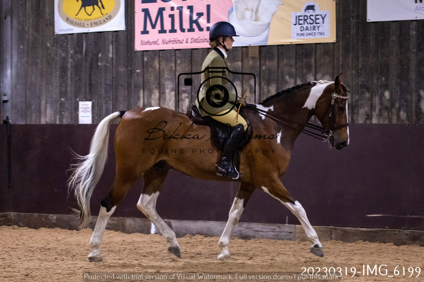 Home Farm Showing 19th March (Ridden) Pt 2