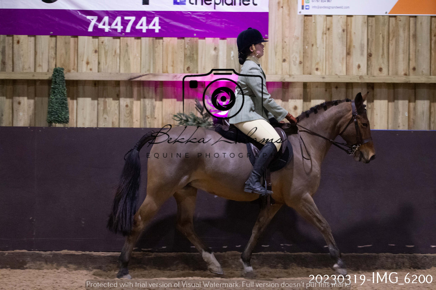 Home Farm Showing 19th March (Ridden) Pt 2