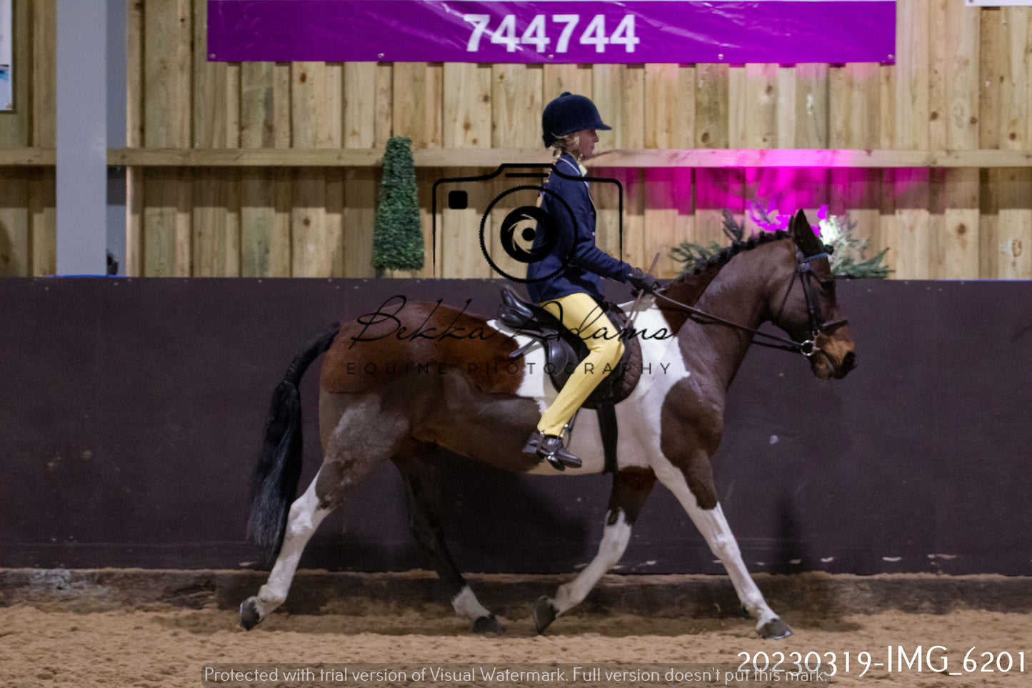 Home Farm Showing 19th March (Ridden) Pt 2
