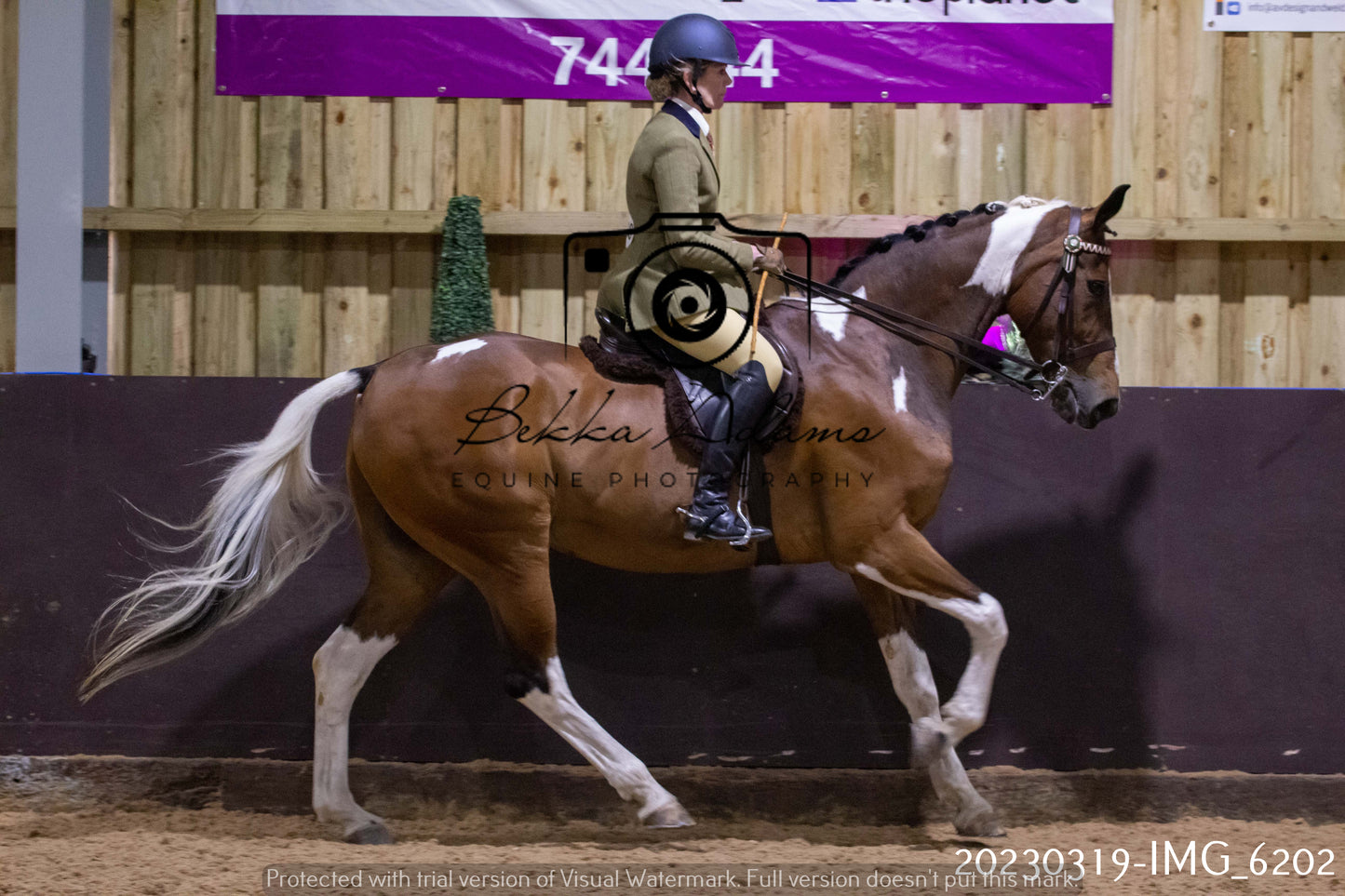 Home Farm Showing 19th March (Ridden) Pt 2
