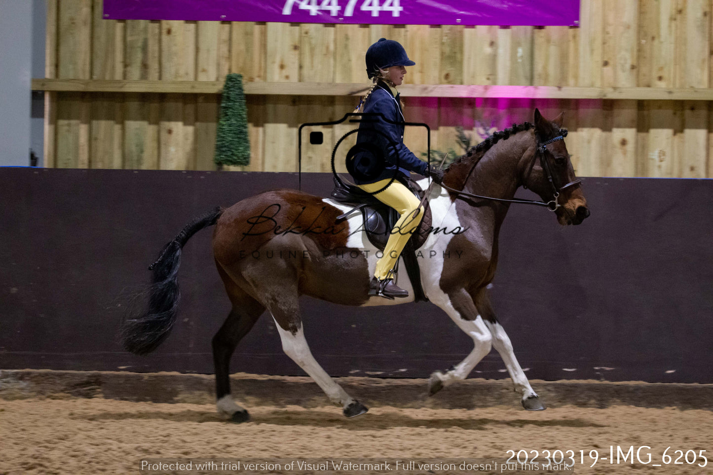 Home Farm Showing 19th March (Ridden) Pt 2