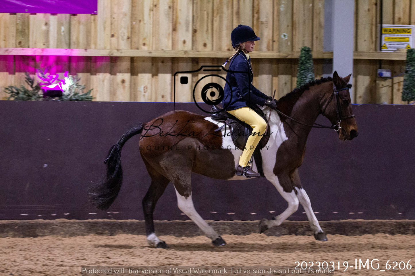 Home Farm Showing 19th March (Ridden) Pt 2