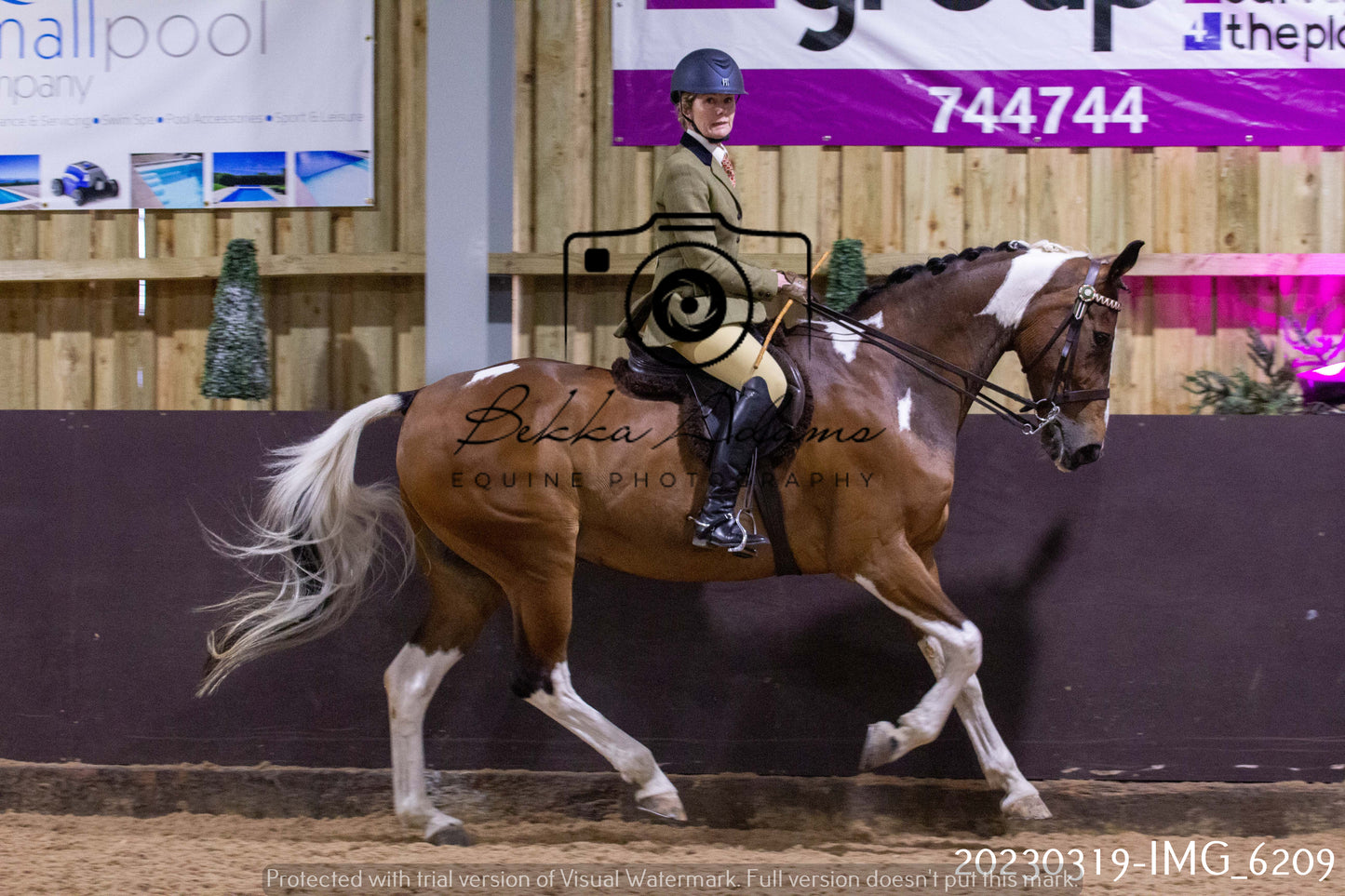 Home Farm Showing 19th March (Ridden) Pt 2