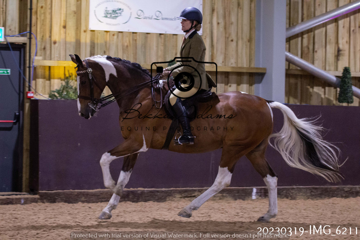 Home Farm Showing 19th March (Ridden) Pt 2